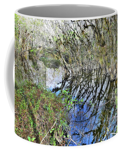Nature Coffee Mug featuring the photograph Bended Reflections by Florene Welebny