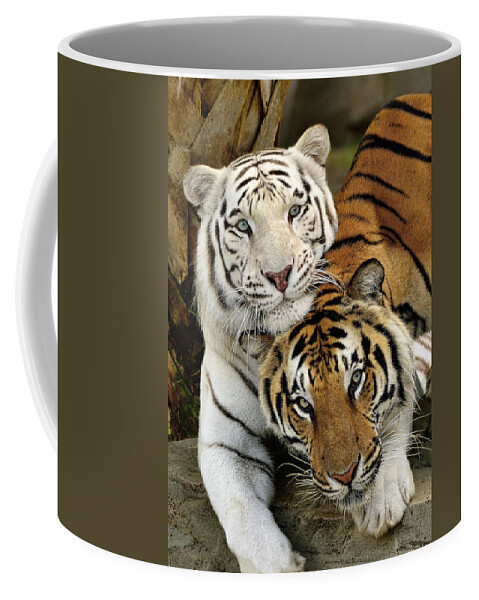 Bengal Tigers Coffee Mug featuring the photograph Bengal Tigers at play by Bill Dodsworth
