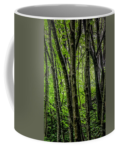 Travel Coffee Mug featuring the photograph Bergen Forest by KG Thienemann