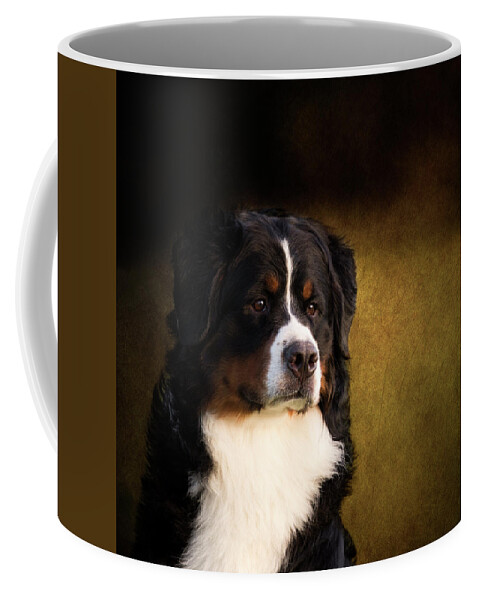 Bernese Coffee Mug featuring the photograph Bernese Mountain Dog by Diana Andersen