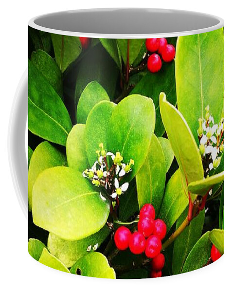  Coffee Mug featuring the photograph Berries and blossom by Jarek Filipowicz