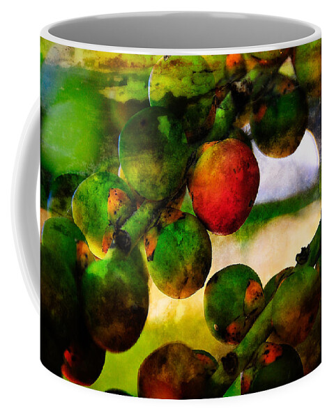 Berries Coffee Mug featuring the photograph Berries by Harry Spitz