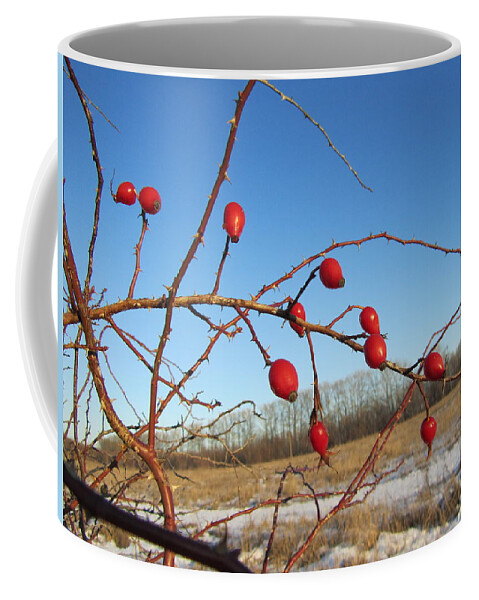 Berry Coffee Mug featuring the photograph Berry by Mariel Mcmeeking