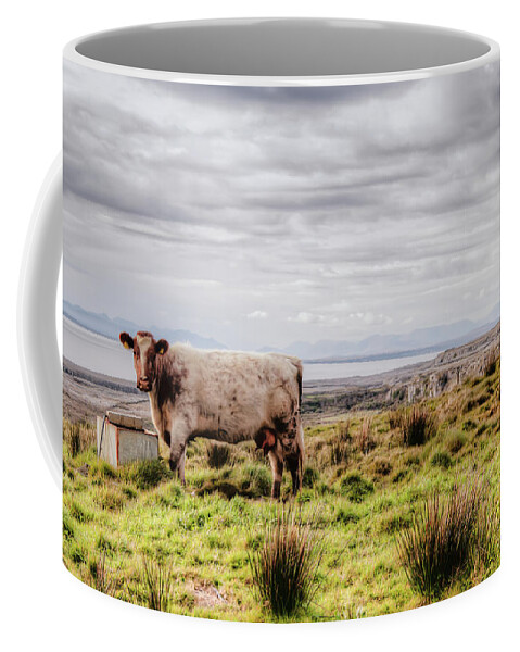 Ireland Coffee Mug featuring the photograph Besty My Irish Cow by Natasha Bishop