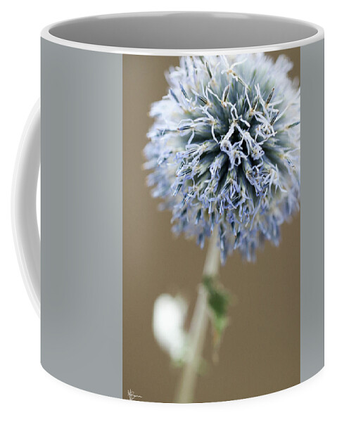 Flower Coffee Mug featuring the photograph Bewildered by Mary Anne Delgado
