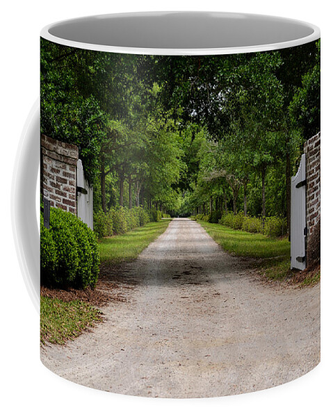 Road Coffee Mug featuring the photograph Beyond the Gate by Linda Brown