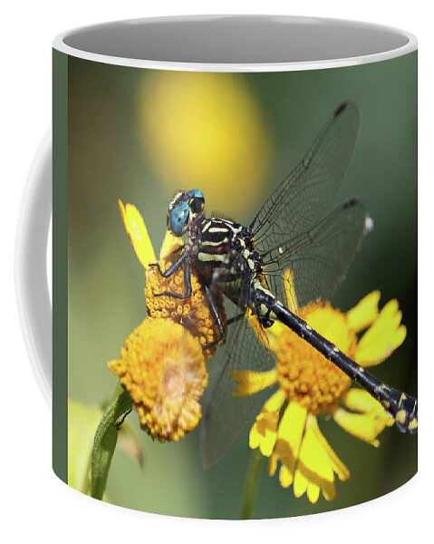 Dragonfly Coffee Mug featuring the photograph Big Blue Eyes by Doris Potter