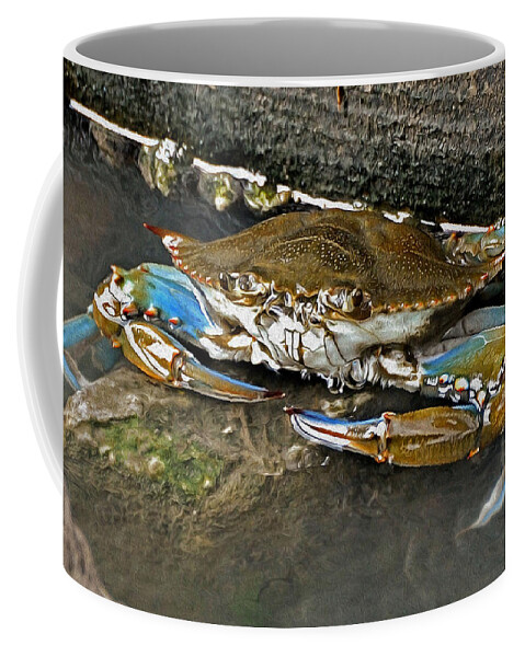 Crab Coffee Mug featuring the photograph Big Blue by Kathy Baccari