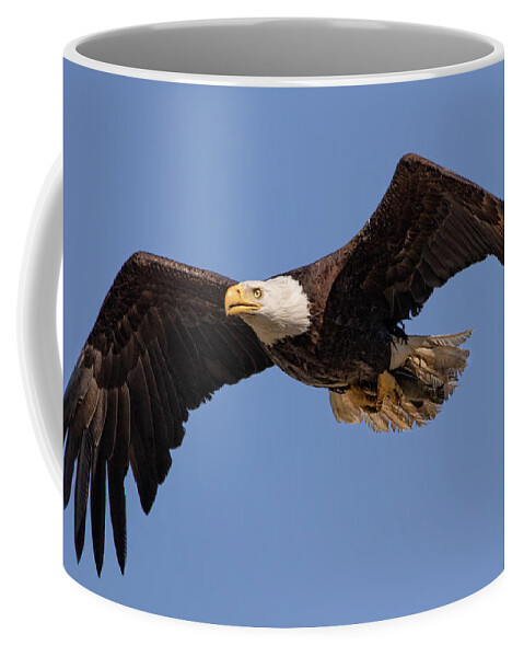 Bald Eagle Coffee Mug featuring the photograph Big Eagle by Beth Sargent
