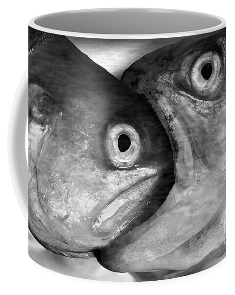 Fish Coffee Mug featuring the photograph Big fish eat small fish by Michal Boubin
