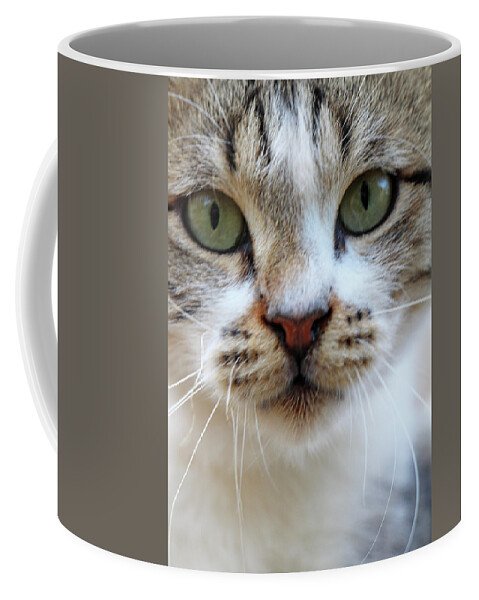 Cat Coffee Mug featuring the photograph Big Green Eyes by Munir Alawi