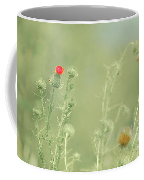 Thistles Coffee Mug featuring the photograph Big red, Little red by Merle Grenz