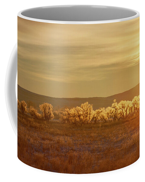 Sunrise Coffee Mug featuring the photograph Big Sandy Sun by Todd Klassy