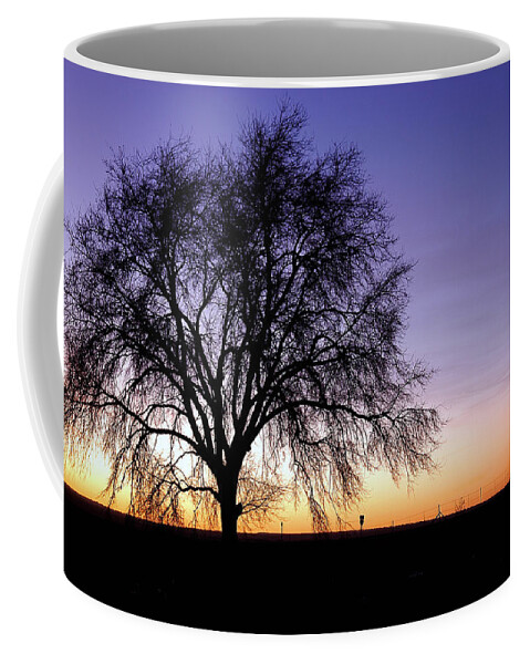 Morning Coffee Mug featuring the photograph Big Sky - New Mexico by DArcy Evans