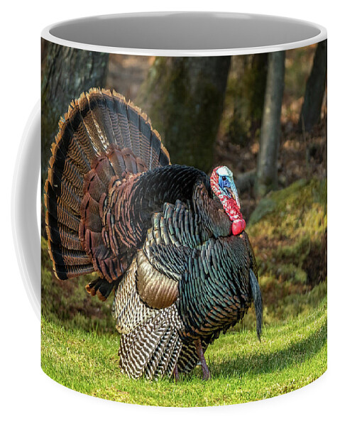 Turkey Coffee Mug featuring the photograph Big Tom Turkey by Steven Upton