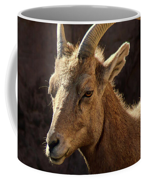 Animals Coffee Mug featuring the photograph Bighorn Sheep by Nikolyn McDonald