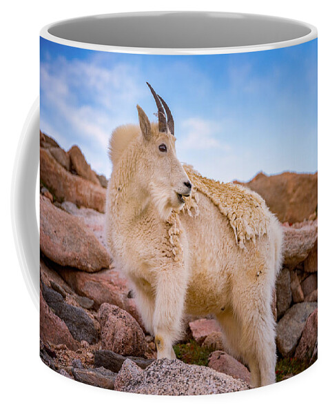 Colorado Coffee Mug featuring the photograph Billy Goat's Scruff by Darren White
