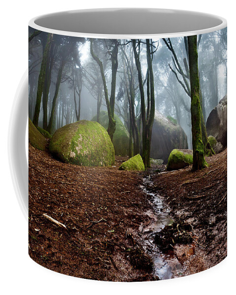 Sintra Coffee Mug featuring the photograph Biosphere by Jorge Maia
