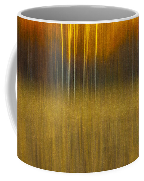 Abstract Coffee Mug featuring the photograph Birch At The Edge Of The Field 2015 by Thomas Young