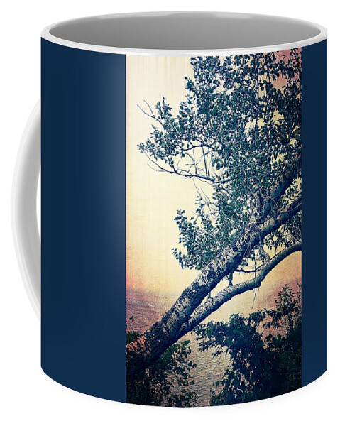 Sunset Coffee Mug featuring the photograph Birch at the Overlook 2.0 by Michelle Calkins
