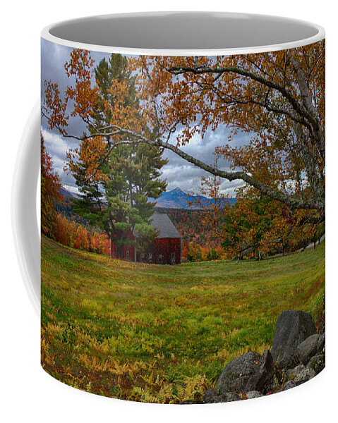 Chocorua Fall Colors Coffee Mug featuring the photograph Birch over the mountains by Jeff Folger