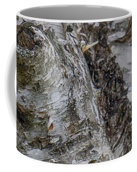 Indian Coffee Mug featuring the photograph Birch Tree by Amanda Jones