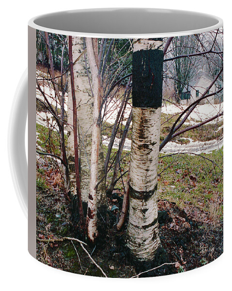 Nyoda Girls Camp Coffee Mug featuring the digital art Birch Trees with House, Winter at Camp Nyoda 1988 by Kathy Anselmo