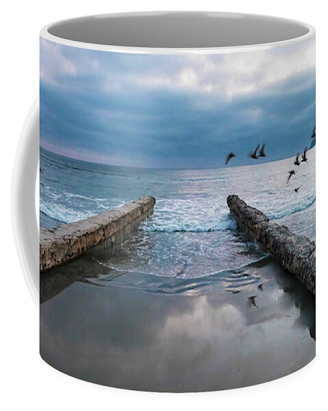 Coronado Coffee Mug featuring the photograph Bird Flight by Dan McGeorge