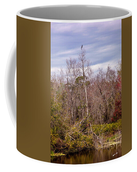 Bird Coffee Mug featuring the photograph Bird Out On A Limb 3 by Madeline Ellis