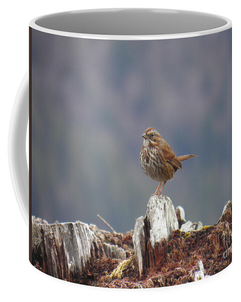 Bird Standing Stump Brown Grey Blue Green Profile Landscape Light Shadow Dark White Contrast Coffee Mug featuring the painting Bird song by Ida Eriksen