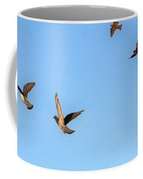 Bird Coffee Mug featuring the photograph Birds in Flight by Kim Bemis