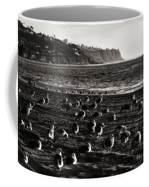 Birds Coffee Mug featuring the photograph Birds of a Feather... by Joseph Hollingsworth