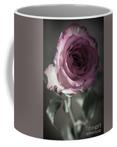 Nature Coffee Mug featuring the photograph Birthday Rose by Deborah Klubertanz