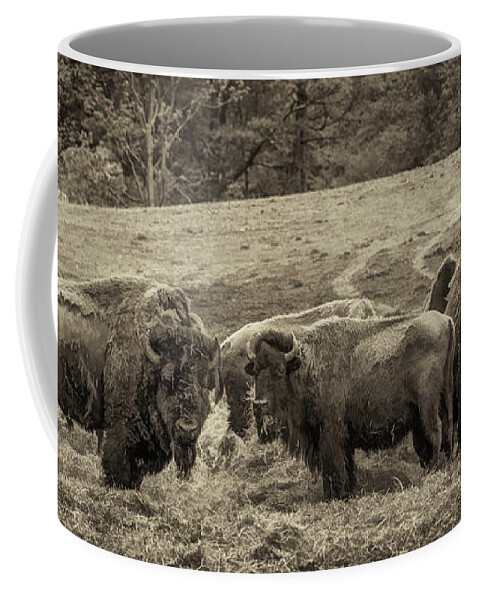 Bison Coffee Mug featuring the photograph Bison 1 - pano by Joye Ardyn Durham