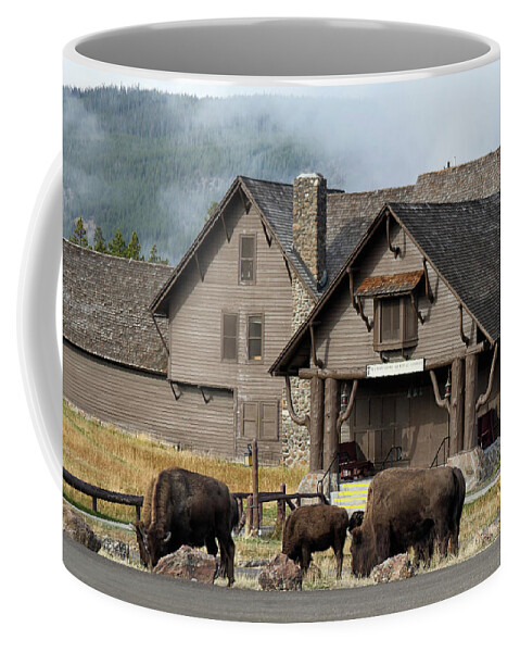 Wyoming Coffee Mug featuring the photograph Bison at Old Faithful by Shirley Mitchell