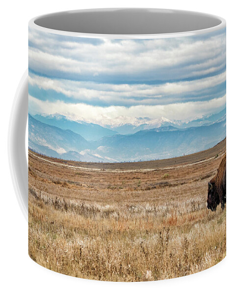 Bison Coffee Mug featuring the photograph Bison Bull in the Shadow of the Rocky Mountains by Tony Hake