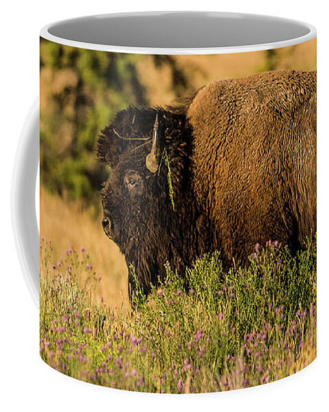 Bull Coffee Mug featuring the photograph Bison Bull In Wildflowers by Yeates Photography