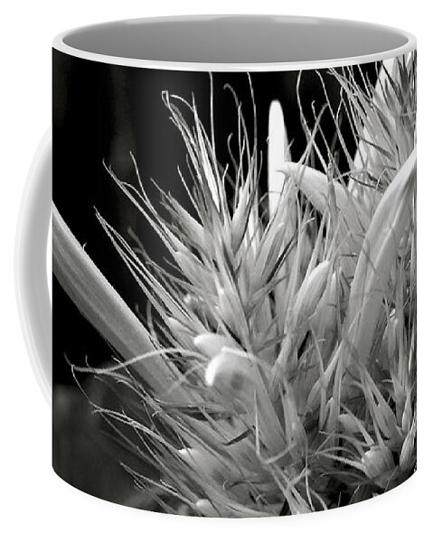 Bizarre Flower Charm Coffee Mug featuring the photograph Bizarre Flower Charm by Silva Wischeropp
