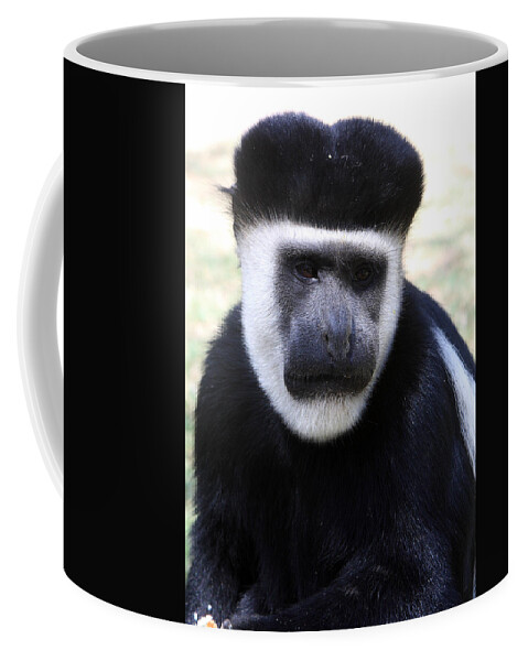 Colobus Monkey Coffee Mug featuring the photograph Black And White Colobus Monkey by Aidan Moran