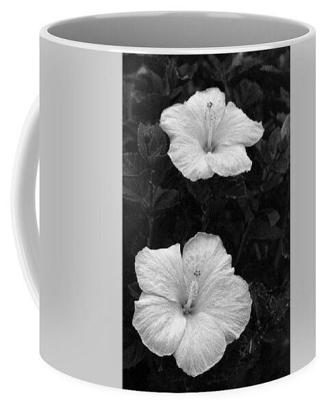 Flower Coffee Mug featuring the photograph Black and White Hibiscus Duo by Amy Fose