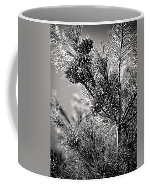 Black And White Pine Tree Print Coffee Mug featuring the photograph Black and White Pine Print by Gwen Gibson
