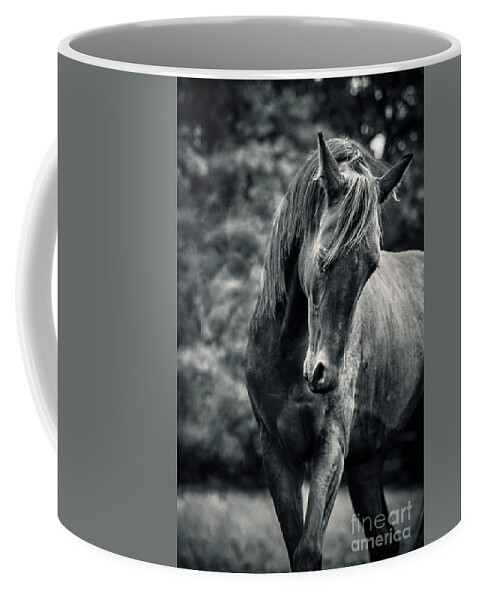 Horse Coffee Mug featuring the photograph Black and white portrait of horse by Dimitar Hristov