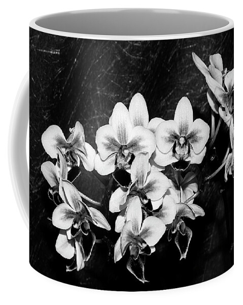 Flowers Coffee Mug featuring the photograph Black and White Velvet by Phyllis Denton