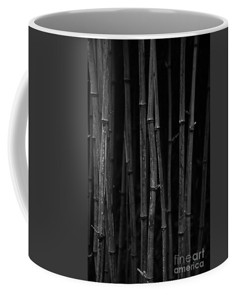Bamboo Coffee Mug featuring the photograph Black Bamboo by Timothy Johnson