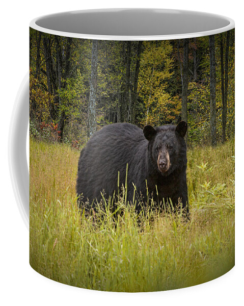 Wildlife Coffee Mug featuring the photograph Black Bear in the Grass by Randall Nyhof