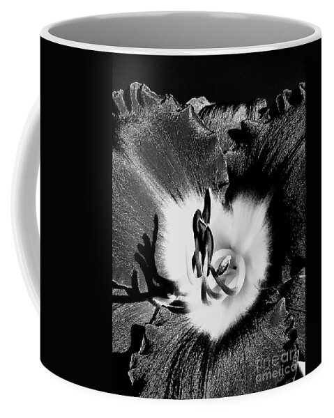 Lily Coffee Mug featuring the photograph Black Beauty by Onedayoneimage Photography