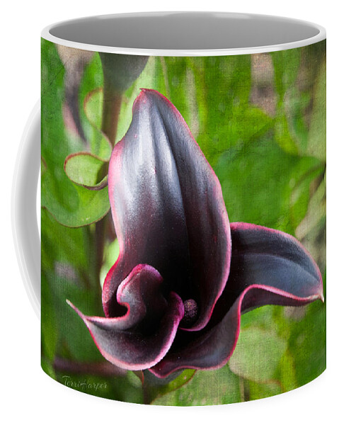 Black Calla Lily Coffee Mug featuring the photograph Black Beauty by Terri Harper