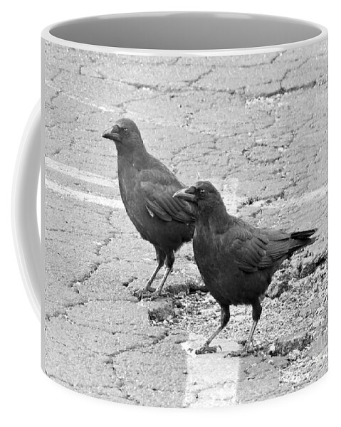 Birds Coffee Mug featuring the photograph Downtown Black Birds by Sandra Church