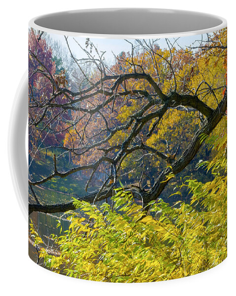 Autumn Coffee Mug featuring the photograph Black Branches Through Bright Autumn Trees by Lynn Hansen
