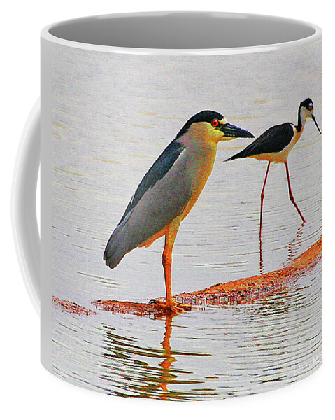 Black Crown Night Heron And Stilt Coffee Mug featuring the photograph Black Crown Night Heron And Stilt by Tom Janca